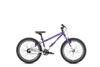 Early Rider Belter 20" Auto