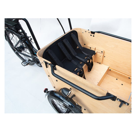 E-Lastenrad TR-716E von Gomier